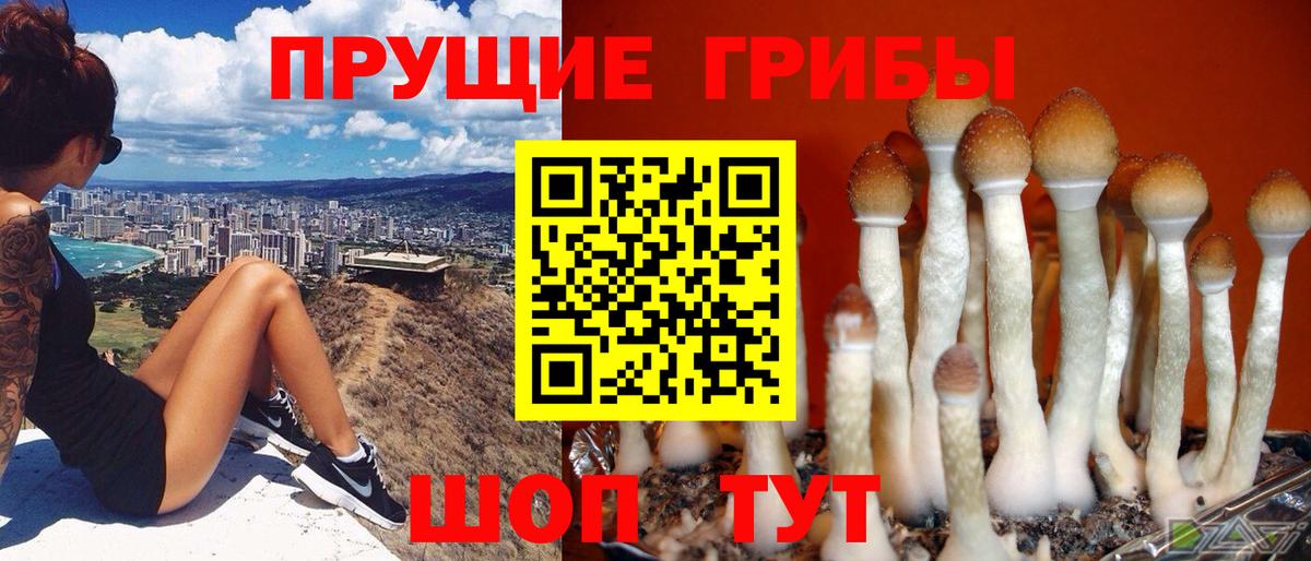 Галлюциногенные грибы мухоморы Дедовск
